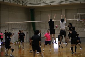 IMG_0225
